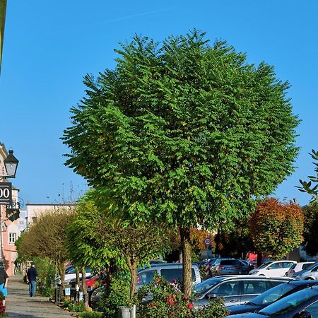 Ferienwohnung Tittmoning Zwischen Salzburg, Burghausen Und Oesterreich Exterior foto